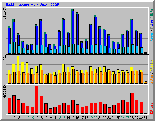 Daily usage for July 2025